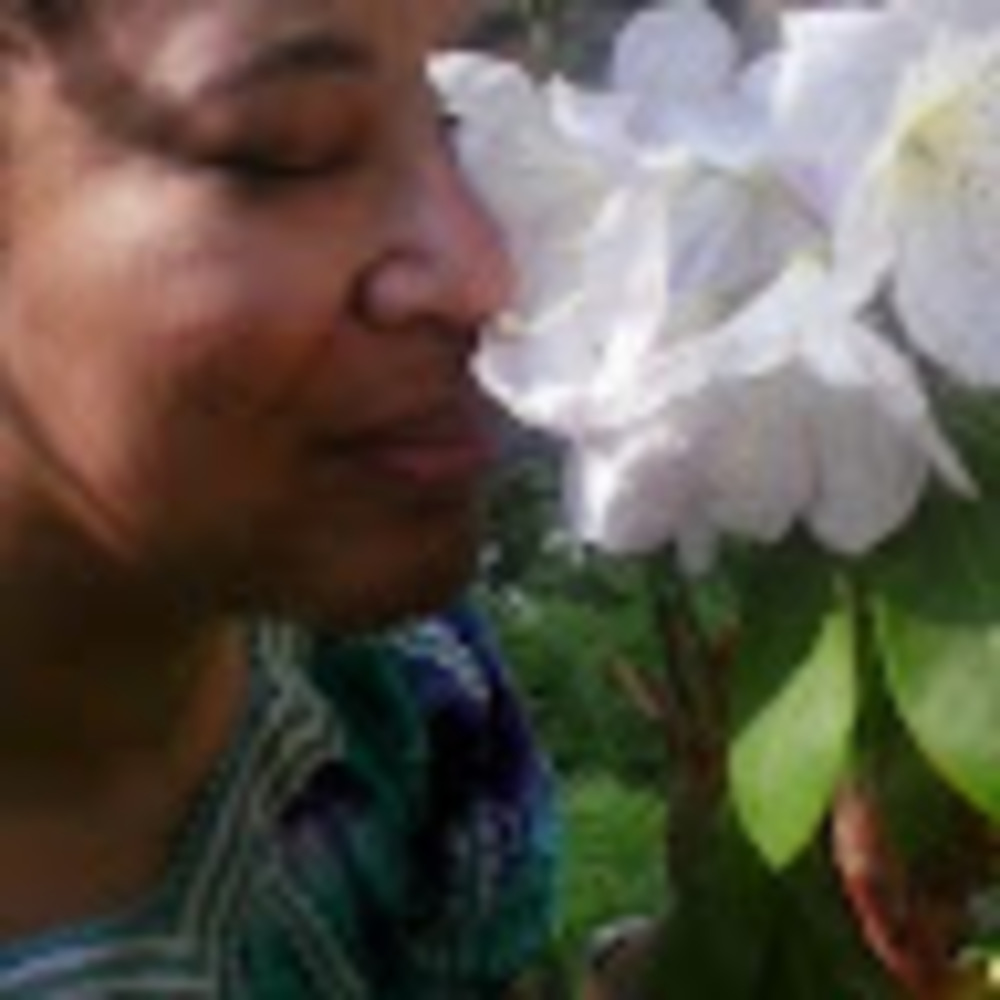 Meet your Posher, Godis